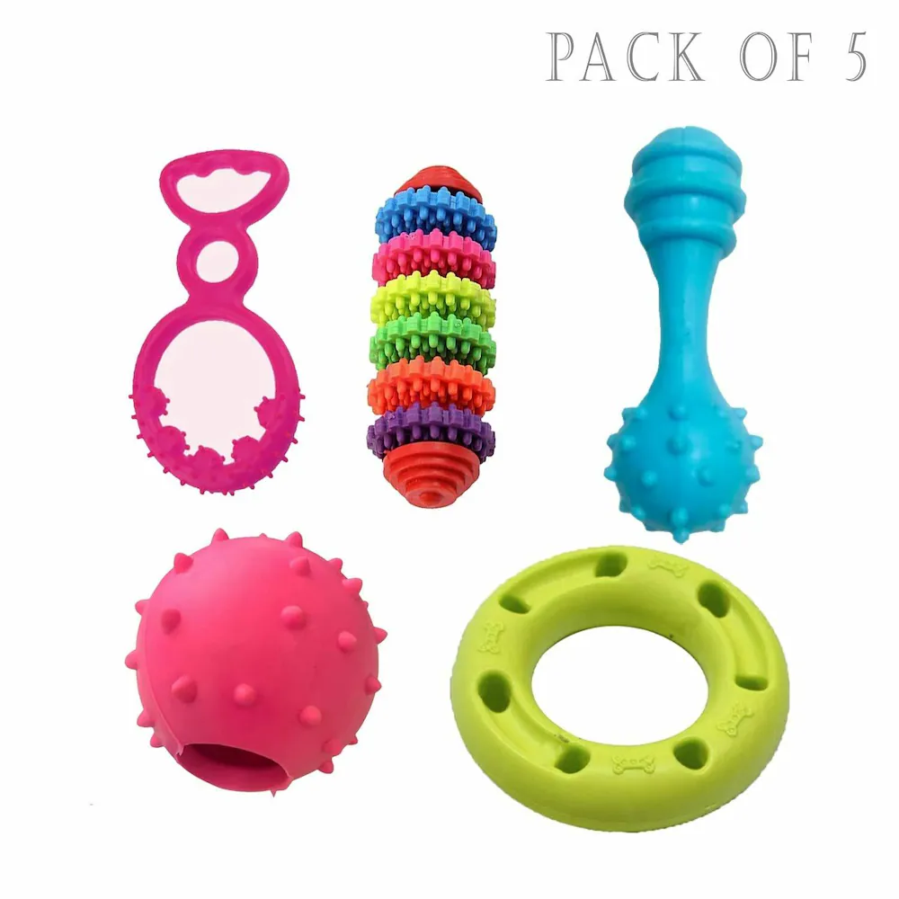 Dog Chew Toy Set